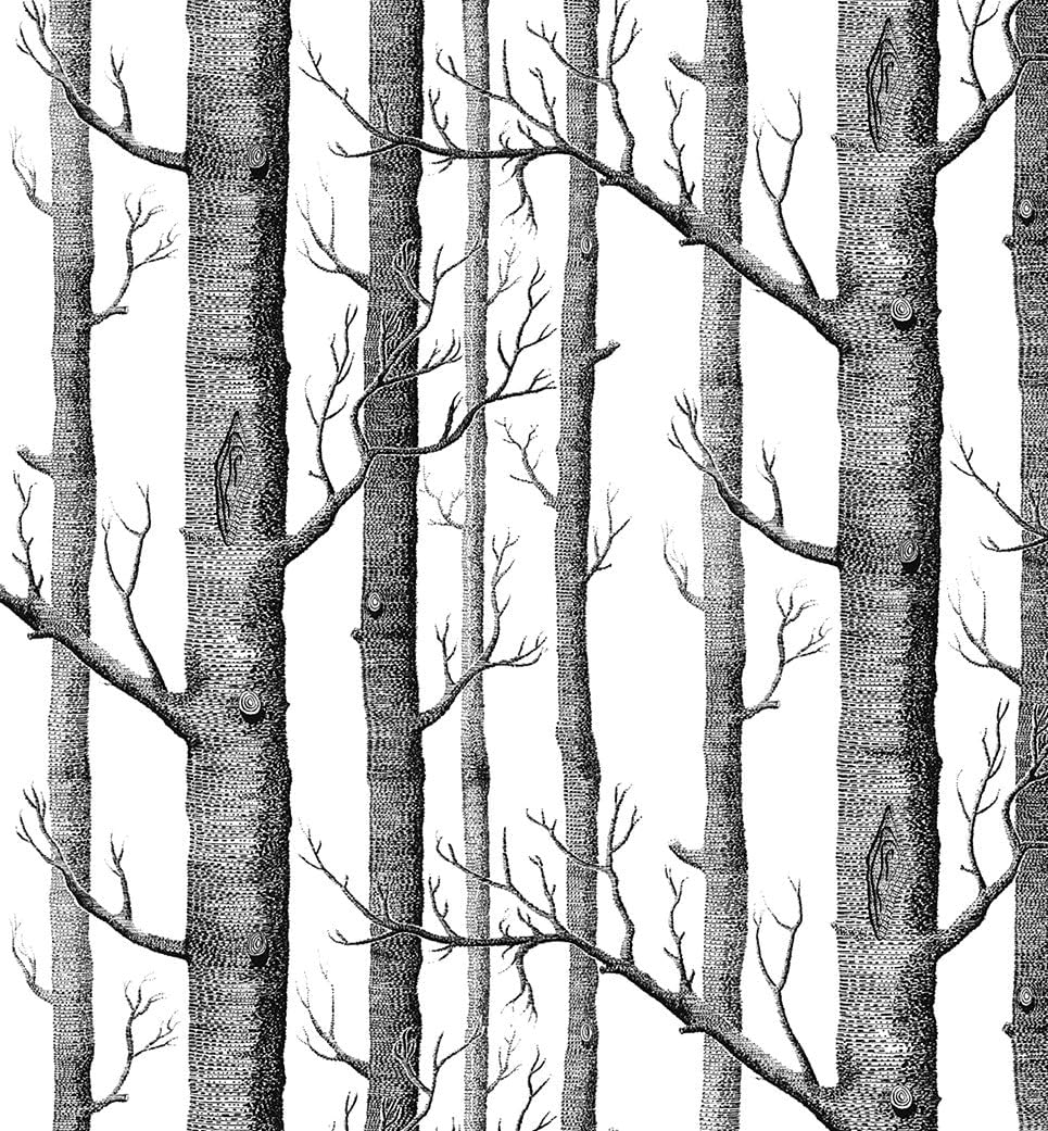 Modern Minimalist Birch Tree Pattern Waterproof Wallpaper Wall Paper Roll for Livingroom Bedroom, 20.8 In32.8 Ft=57 Sq.ft,Black&White