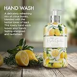 Baylis & Harding Royale Garden Lemon & Basil Hand Wash 500 ml Pack 6 view 4
