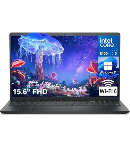 Amazon.com: Dell Vostro 15 3530 Business Laptop, 16GB RAM, 512GB