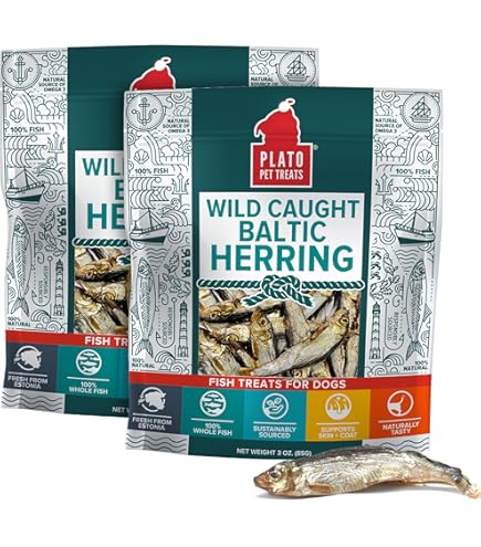 Totally Hook'd Freeze‑Dried Single‑Ingredient Treats, High‑Protein Omega-3 Training Snack for Dogs & Cats (2 Ounce, Minnows) : Pet Supplies