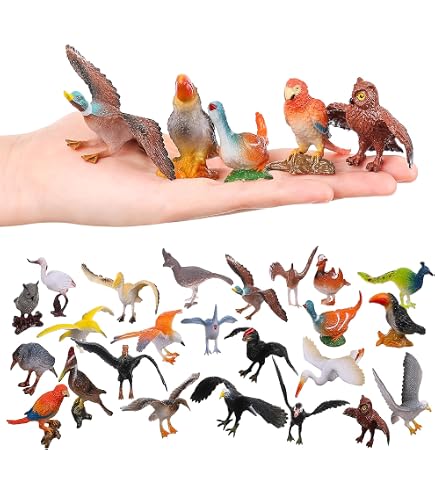 Avian Raptors Birds Of Prey Educational Science Chart...