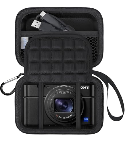 Amazon.com : Aenllosi Case for Sony RX100 VII/RX100 II/RX100 III
