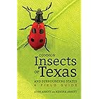 Common Insects of Texas and Surrounding States: A Field Guide (Dorrie Herring Hooks Book 71)