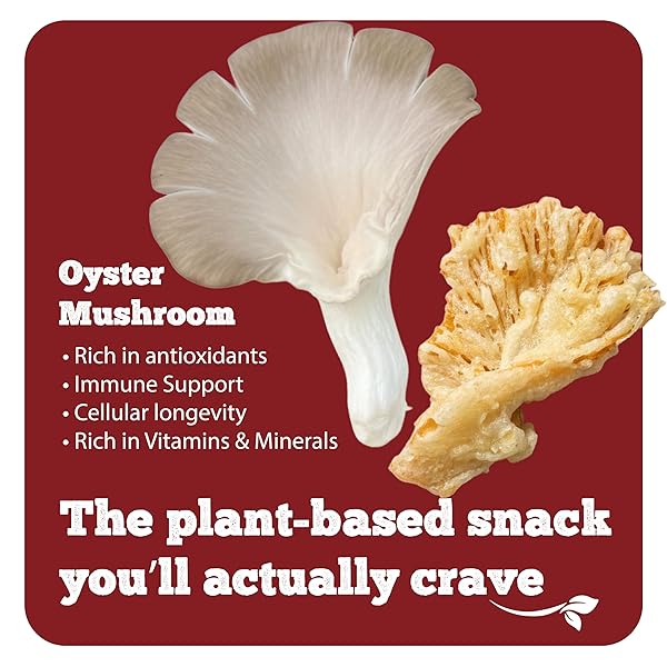 BITETUOSO TEMPURA MUSHROOM CHIPS, TEMPURA-STYLE MUSHROOM SNACK, READY-TO-EAT CRISPY OYSTER MUSHROOMS, PLANT-BASED CRISPY SNACK, ORIGINAL BBQ PLANT-BASED CHEDDAR VARIETY PACK, INDIVIDUALLY WRAPPED 1.41OZ (6 PACK)