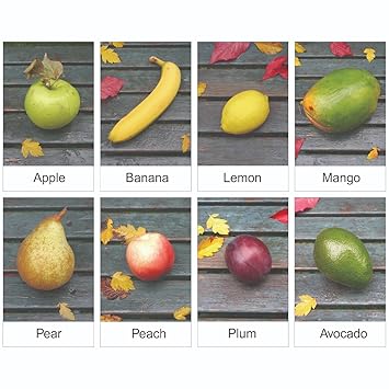 Paper Plane Design Vegetables Flash Cards Laminated 3.5 inch x 5.5 inch Waterproof