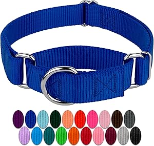 Country Brook Petz - Royal Blue Martingale Heavy Duty Nylon Dog Collar - 21 Vibrant Color Options (3/4 Inch Width, Small)