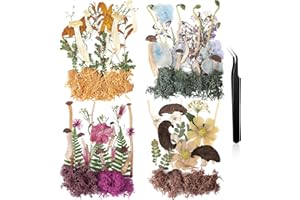 Nuanchu Dried Pressed Flowers Bulk Dried Mushrooms for Crafts Fake Mushrooms Natural Pressed Wildflowers Leave with Tweezer for Resin Mold Scrapbooking Nail Soap Making DIY Christmas Crafts Supplies