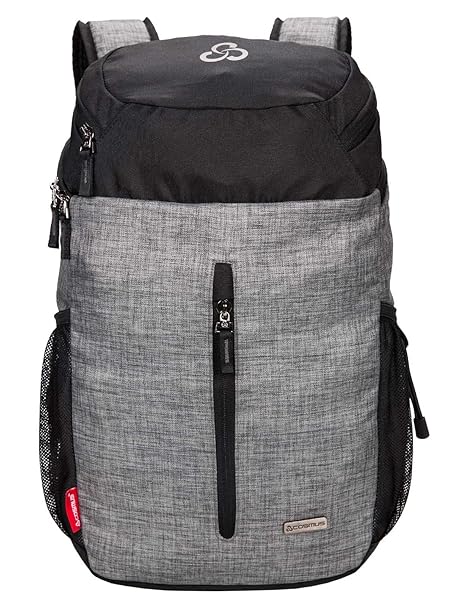 COSMUS Polyester 17 Ltr Grey-Black Laptop Backpack