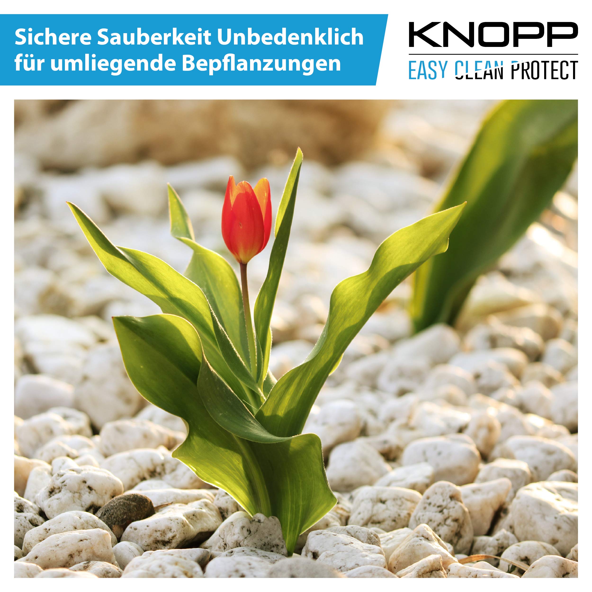 KNOPP Zierkies, Zierkiesreiniger + Versiegelung, Flechtenentferner, Grünbelagentferner, gebrauchsfertig, 500ml Sprüher 5
