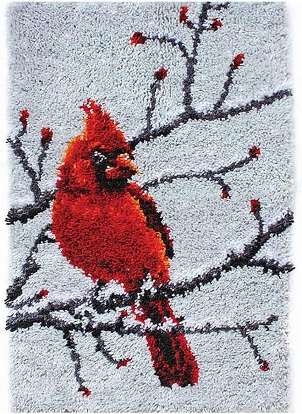 Latch Hook Kits Birds PrePrinted Pattern Tapestry Kits Carpet Embroidery Rug Kits 20.5"X15",A