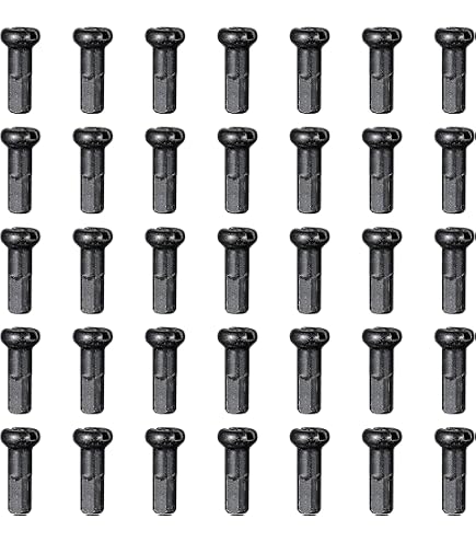 DT Swiss Écrou de rayon Pro Lock Squorx Pro Head alliage