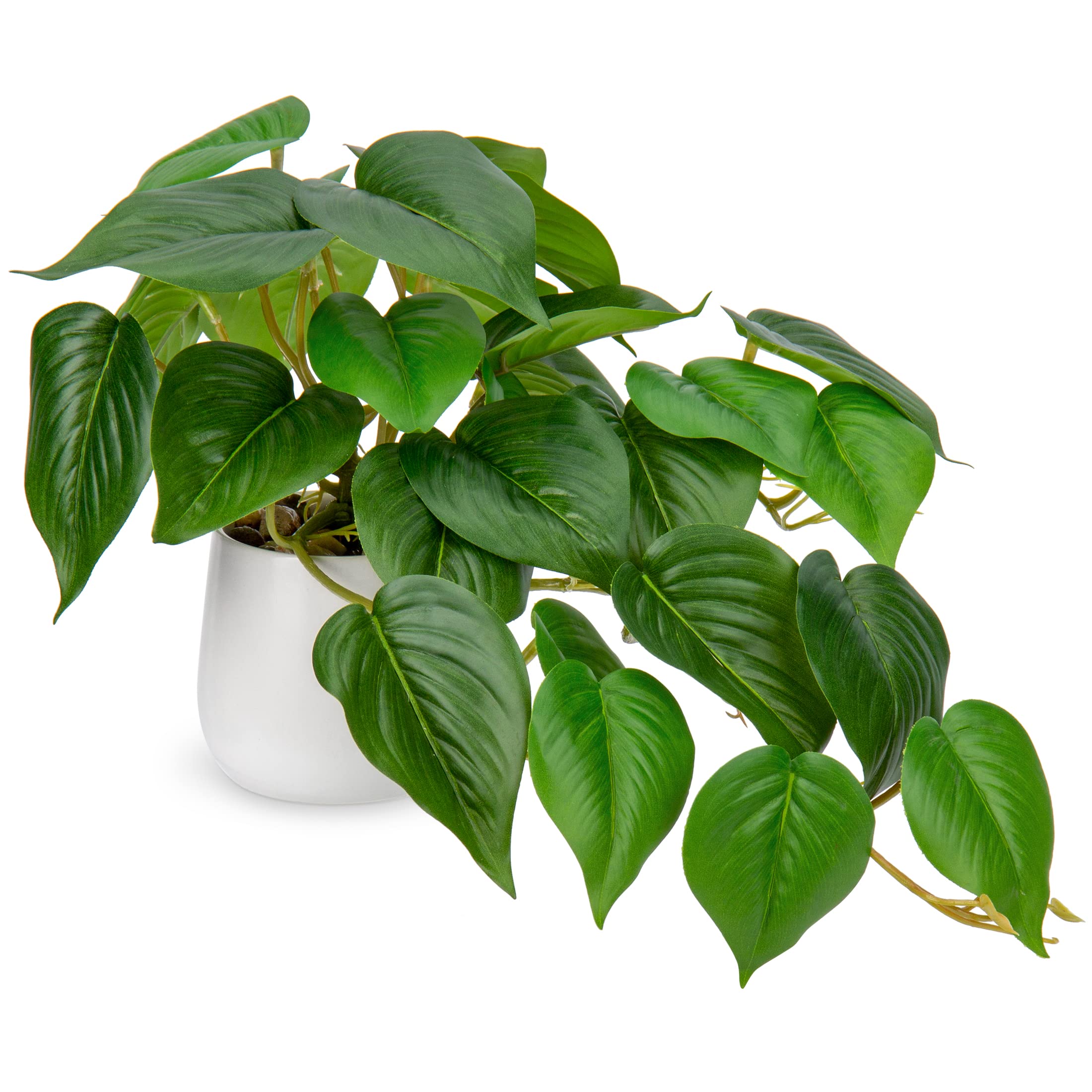 Hollyone Artificial Plants in Ceramic Pots, Fake Jade Pothos Decorative Faux Potted Plants, Realistic House Plant Indoor for Home Décor, Bathroom, Living Room, Kitchen, Shelf, Office Decorations