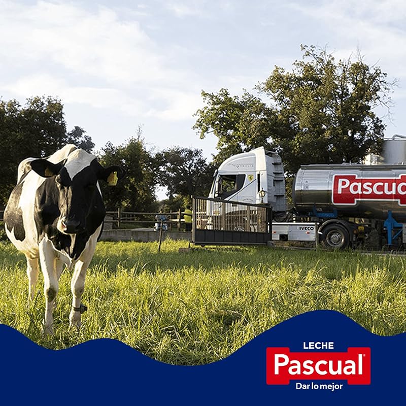 Pascual - Pascual Leite meio gordo - Bem-estar animal - Pack 6 x 1 L