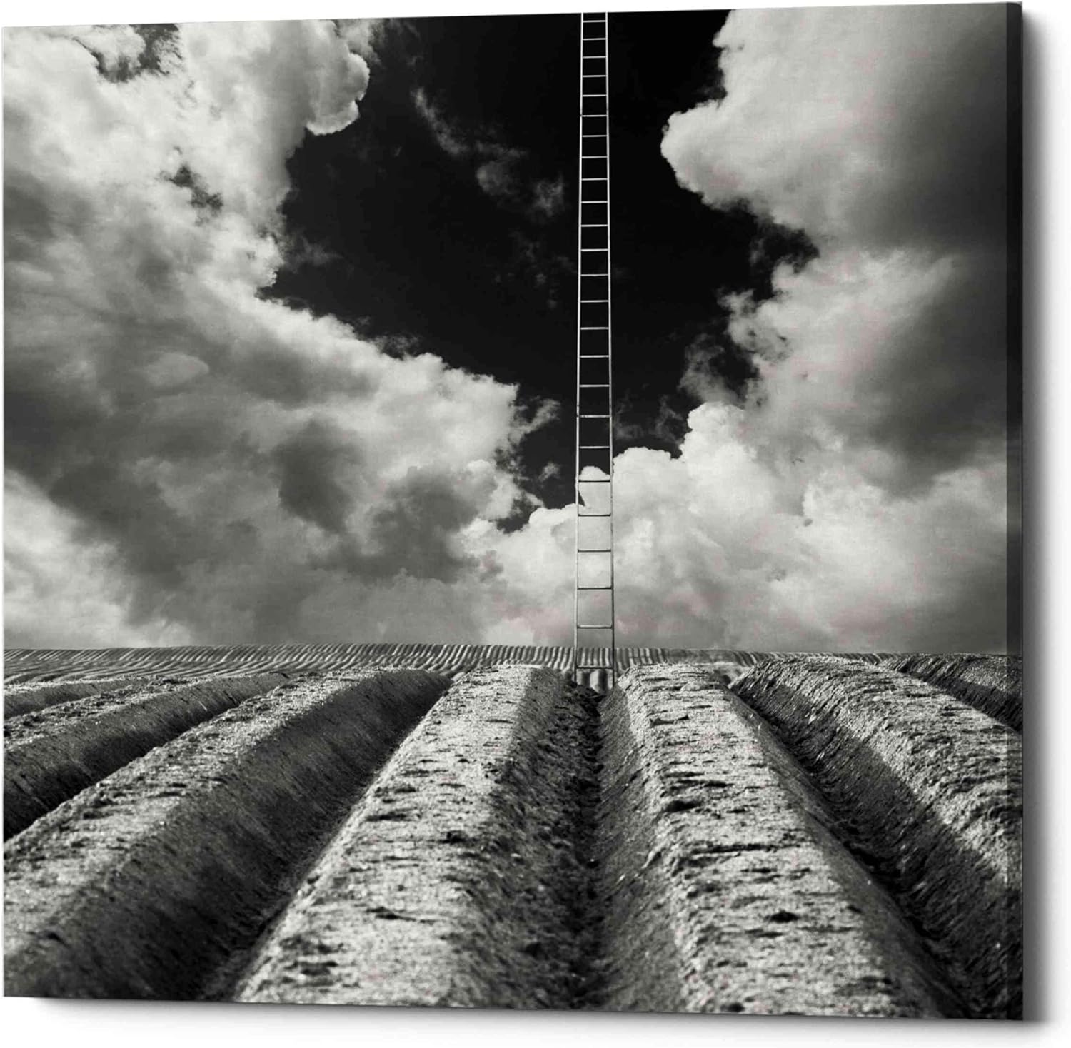 Which Is The Best Jacob’s Ladder Wall Art