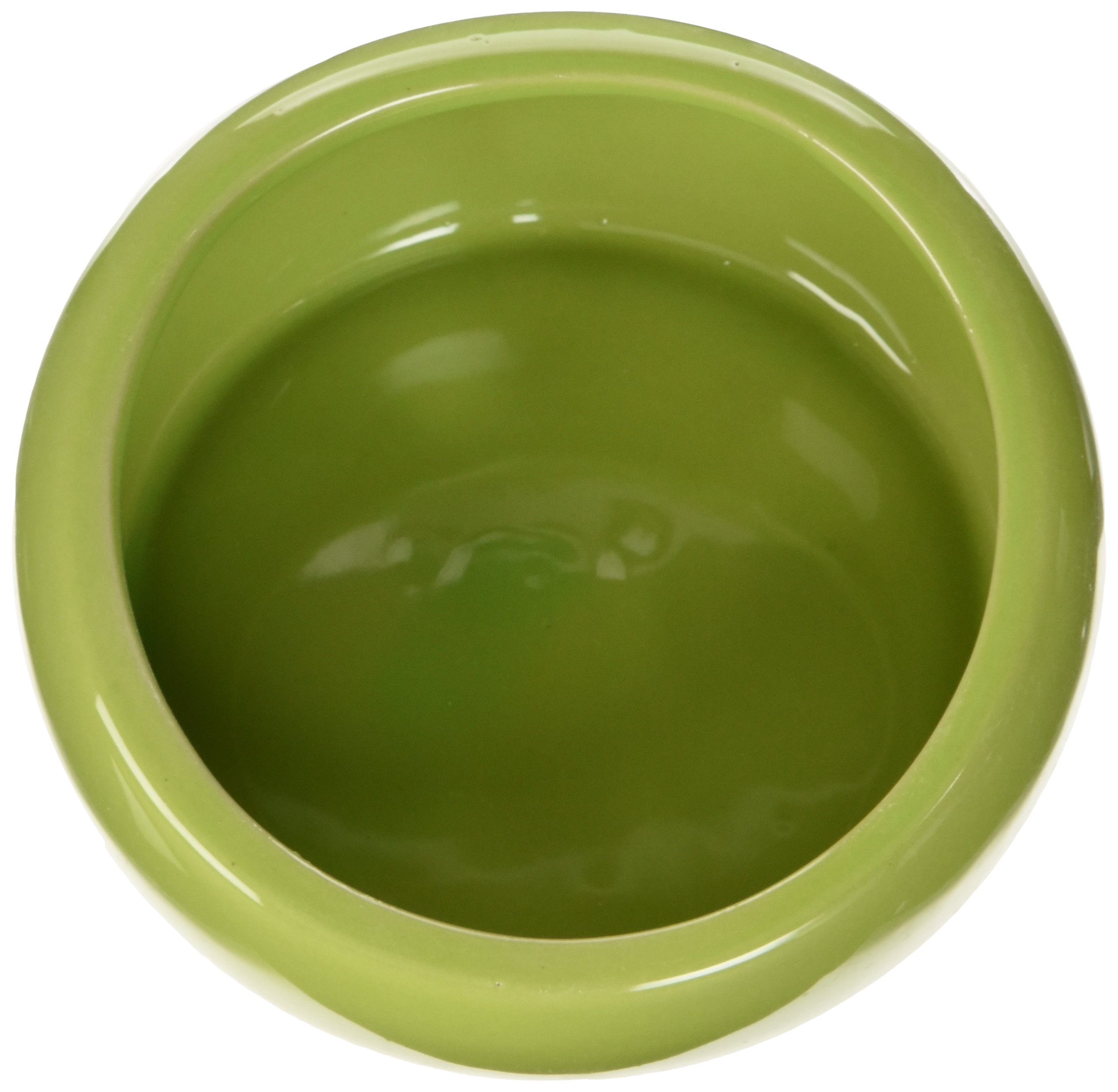 Living World Ergonomic Dish, Green, Large