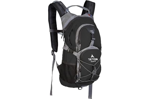 makeup large case organizer