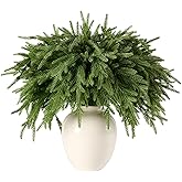 CLEANGOR 12Pcs 18'' Norfolk Pine Stems Realistic, Lifelike Christmas Greenery Pine Branches for DIY Wreaths, Vase Fillers, Indoor Outdoor Decor, Real Touch Christmas Decorations for Table, Mantle