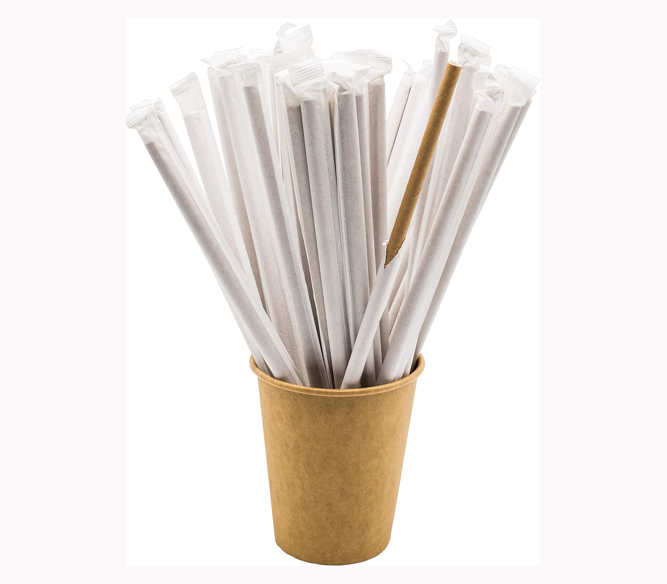 DON PALILLO - 250 Paper Straws, Individually Wrapped, Biodegradable Kraft Paper, 200 x 6 mm