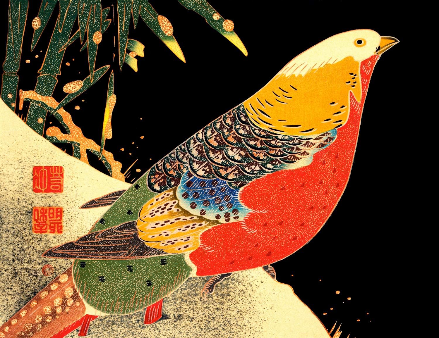 Photographs - Golden Pheasant In The Snow 8.5x11