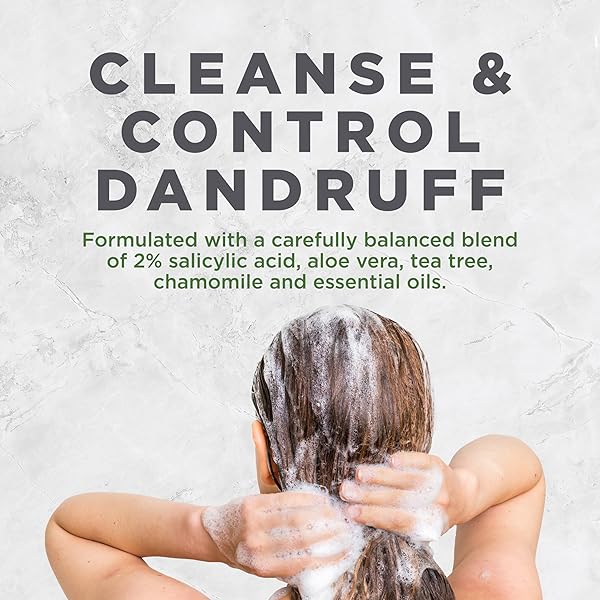 AVALON ORGANICS THERAPY MEDICATED ANTI-DANDRUFF SHAMPOO FOR SOFT, FLAKE-FREE HAIR, 14 FLUID OUNCES