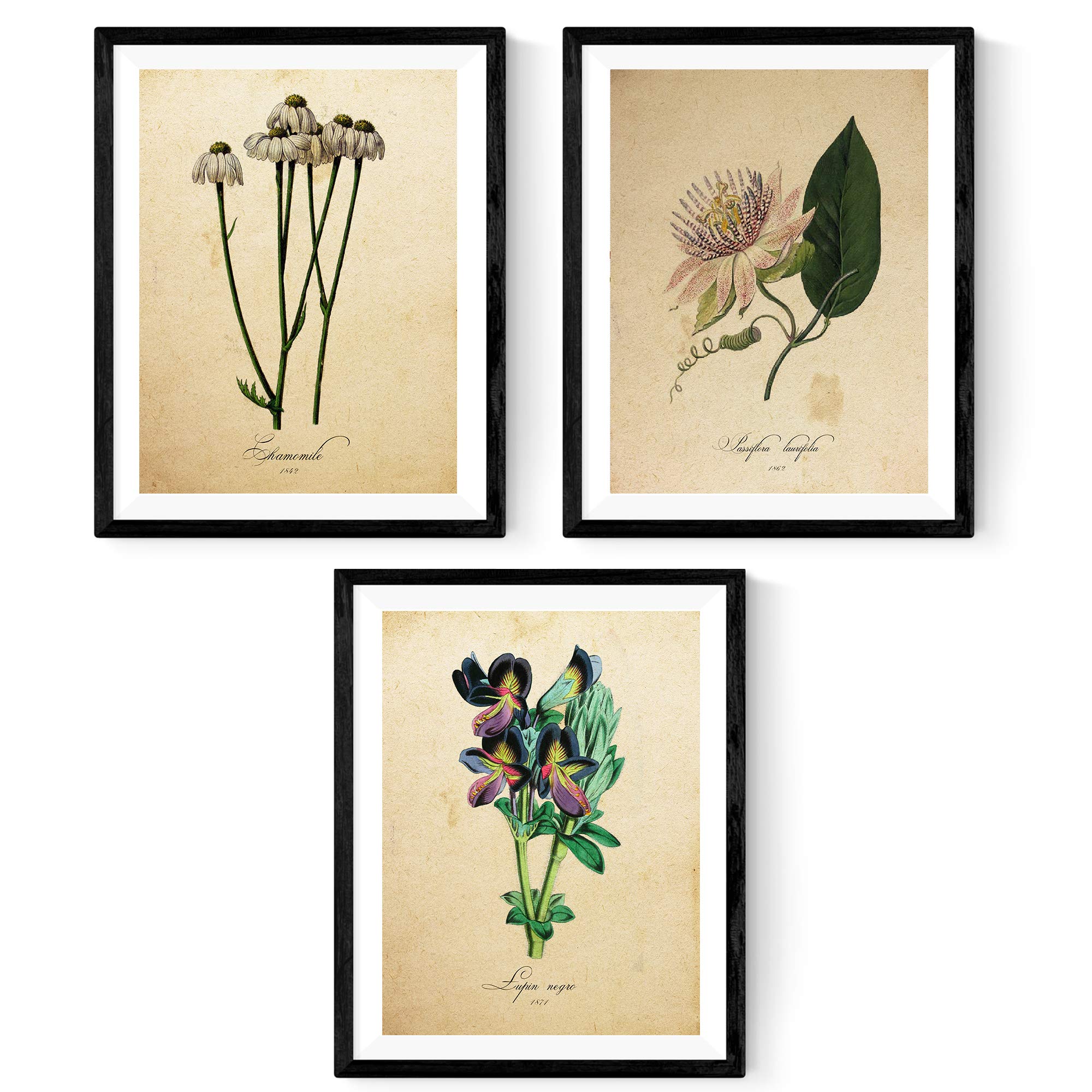 Pack of sheets titled My Garden Blue with botanical images, ideal for framing and home decor, printed on 250g paper — image 1