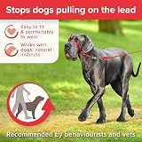 Beaphar Gentle Leader Head Collar for Large Dogs - Anti-Pull Training Aid view 5