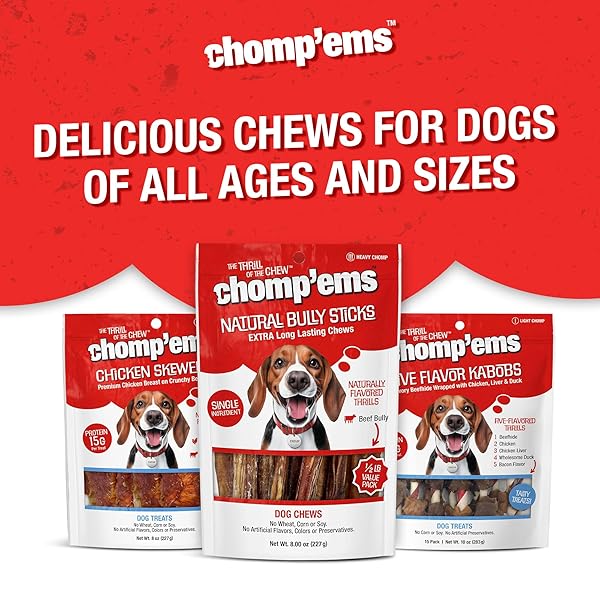 CHOMP’EMS NATURALLY DELICIOUS BULLY STICKS – LONG LASTING NO HIDE DOG CHEWS – NO ARTIFICIAL FLAVORS, COLORS, OR PRESERVATIVES – PROTEIN RICH ALTERNATIVE TO RAWHIDE, 8 OZ.