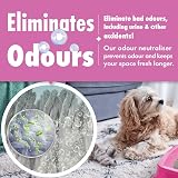 Dirtbusters Pet Pro Antibacterial Carpet Cleaner Shampoo 1L Wool Safe view 6