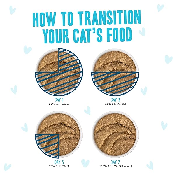 WERUVA B.F.F. PLAY – BEST FELINE FRIEND PATÉ LOVERS, AW YEAH!, PATÉ JAMBOREE! VARIETY PACK, 3OZ POUCH (PACK OF 12)