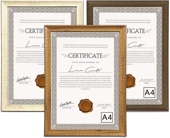 Kit 10 Moldura Quadro Certificado Diploma Fotos A4 24x32 5cm Moldura Mel Amazon Com Br