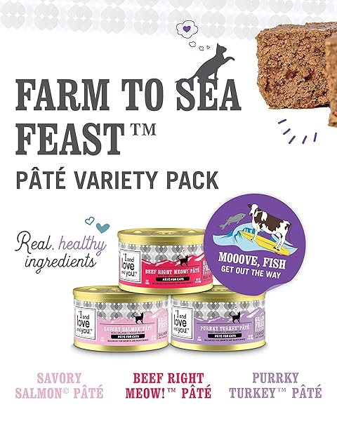 I AND LOVE AND YOU NAKED ESSENTIALS CANNED WET CAT FOOD – VARIETY PACK: BEEF RECIPE, SALMON+CHICKEN RECIPE, TURKEY RECIPE, 3-OUNCE, PACK OF 12 CANS, VARIETY PACK PATE; BEEF, SALMON, TURKEY