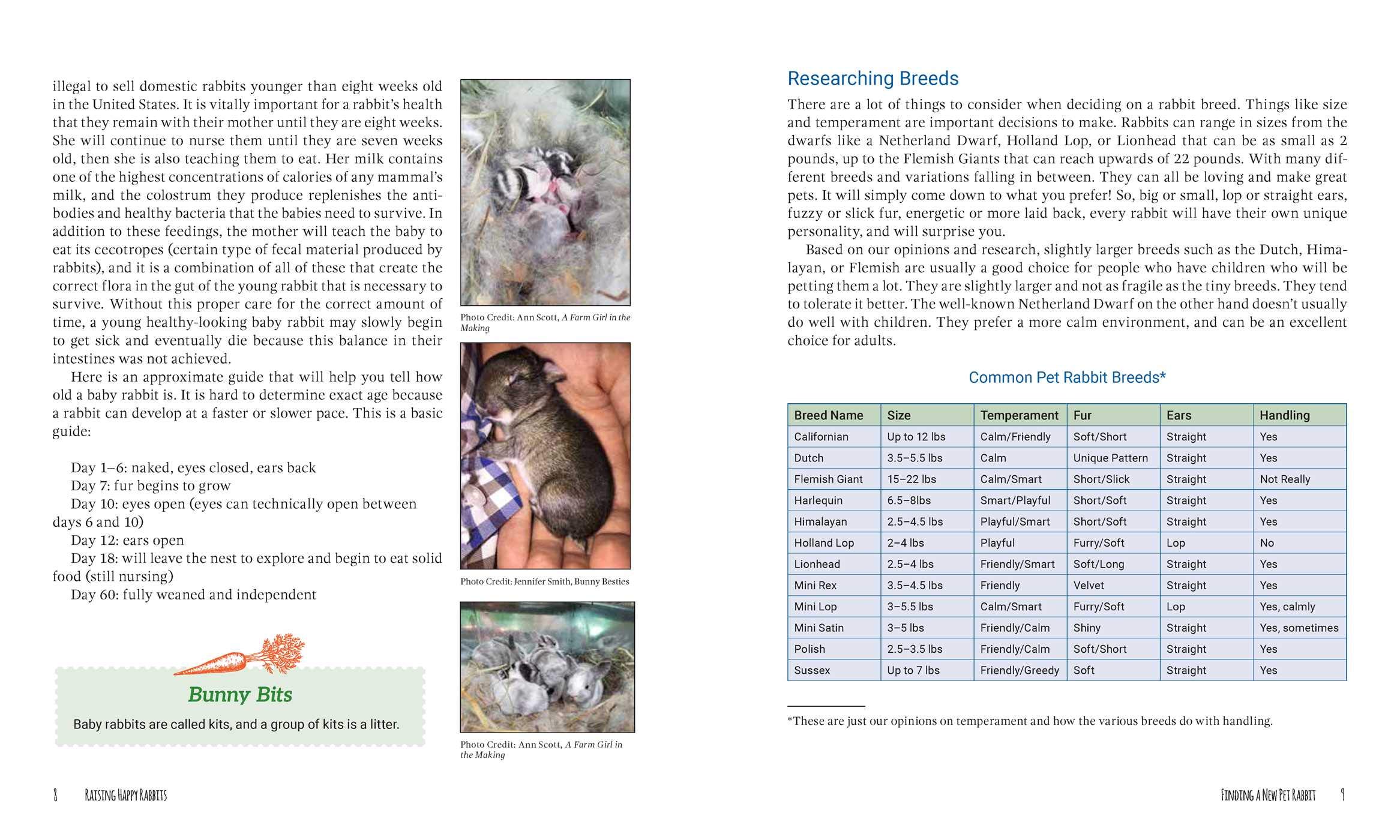 Raising Happy Rabbits: Housing, Feeding, and Care Instructions for Your Rabbit's First Year