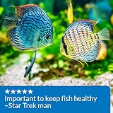 API pH Up Freshwater Aquarium pH Raising Solution 118 ml view 7