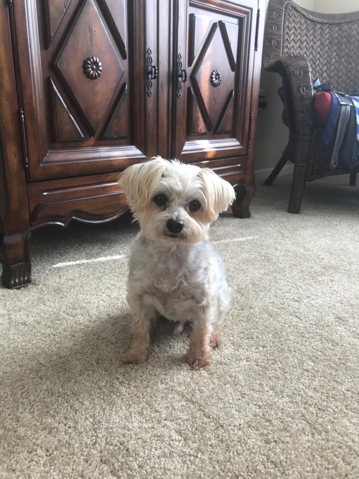 User review photo