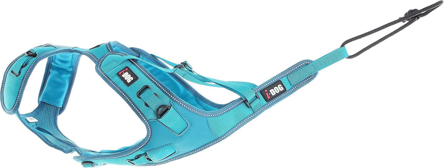 I-dog phoenix harness (XS), Turquoise - Image 3