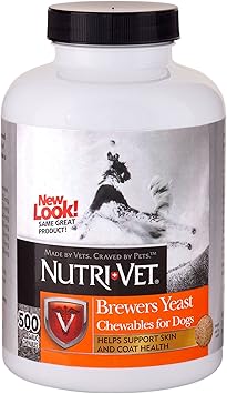 yorkshire terrier puppy cut