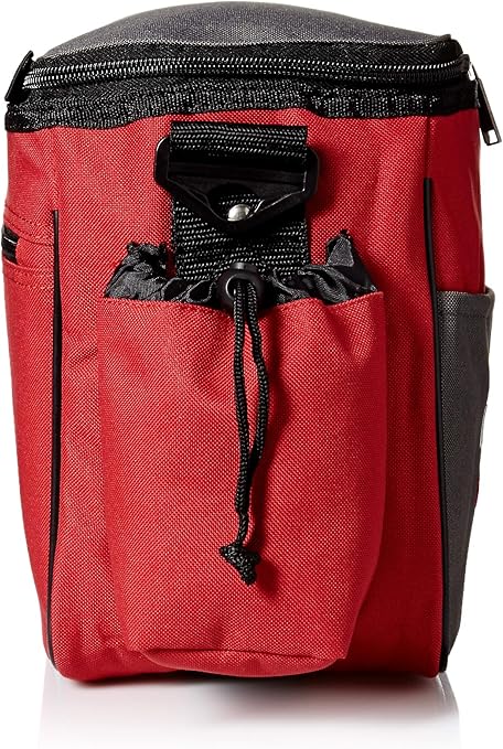 champion bags womens 2014