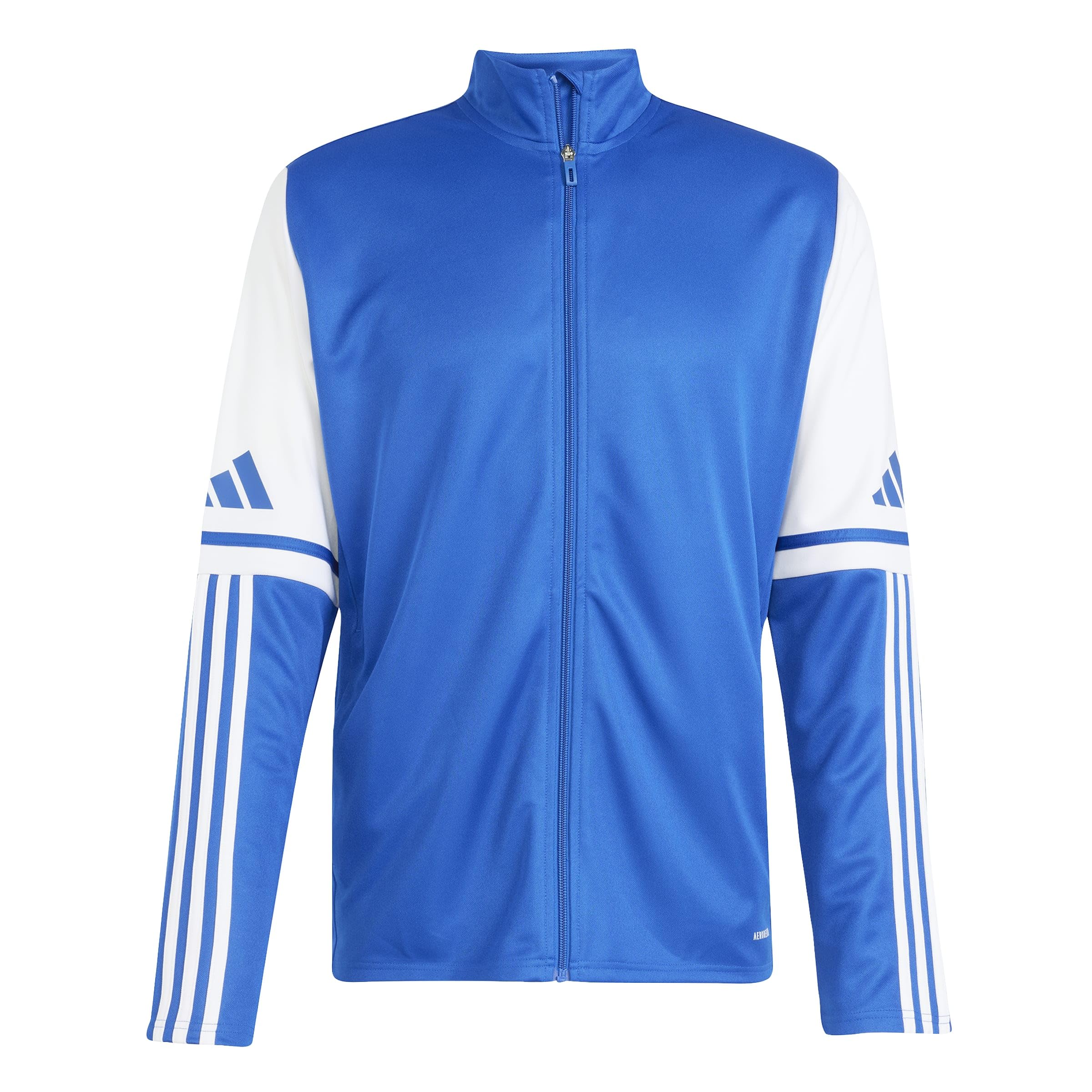 adidas Herren Squadra25 Training Sweatshirt, Team royal Blue/White, XXL