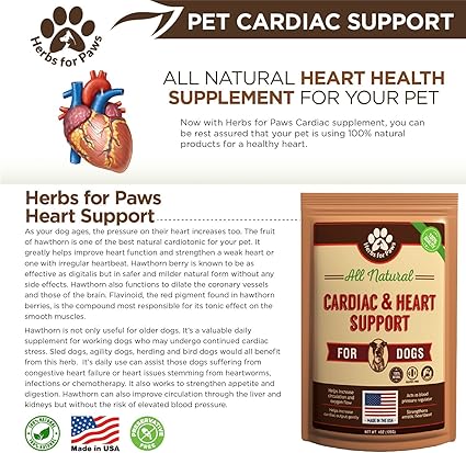 dog heart health supplements
