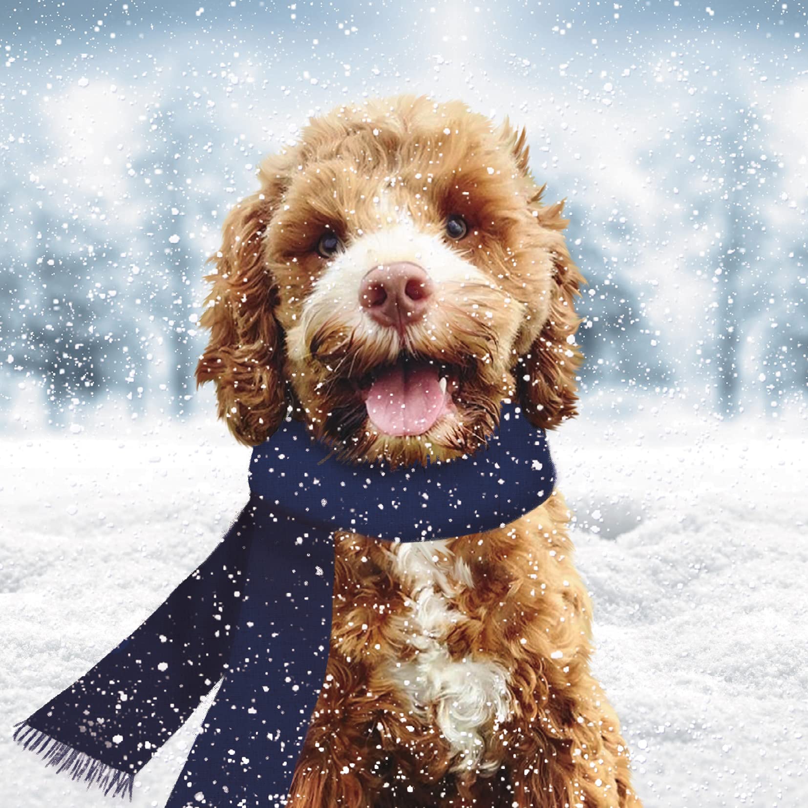 Paper House Pack of 6 Charity Christmas Cards - Premium Christmas Greeting Cards with Envelopes - Cute Festive Dog in the Snow - Supporting UK Charities - 6 of 1 Design