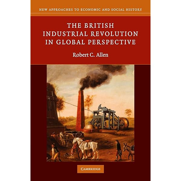 The Panorama　History of a Mass Medium The Panorama: History of a Mass Medium: Oettermann, Stephan