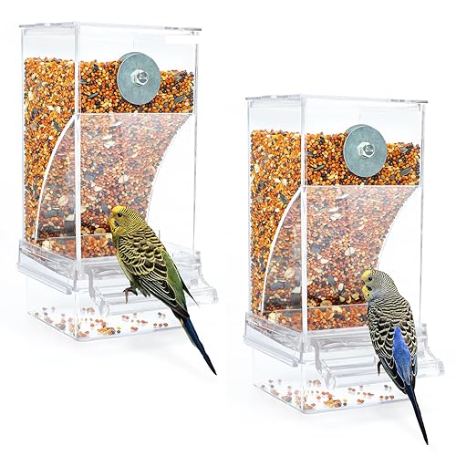 Cockatoos Canary Bird Cage Accessories Rypet Pack No Mess