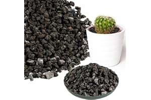 Sukh Black Lava Rock - Horticultural Volcanic Lava Stone for Cacti Succulents Terrarium Vase Fillers Fairy Gardening Plants Groundcover Flowerbeds Volcanic Stone No Dyes.