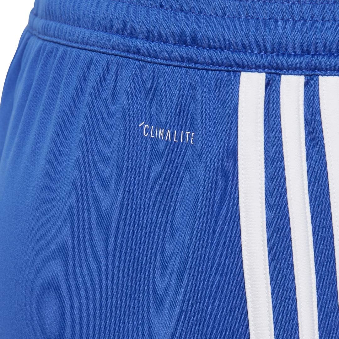 adidas Boys' Regista 18 Short: Clothing