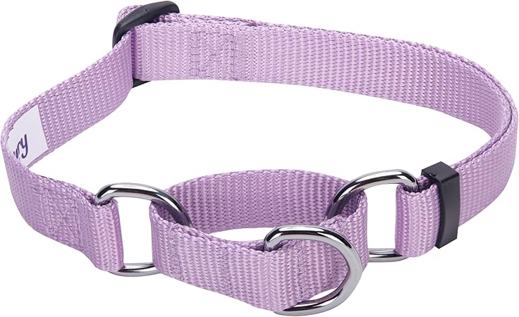 amazon blueberry collar