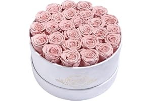 PRIFROTI 27 Roses in a Luxury Suede Box, Mother Day Flowers Gifts for Mom, Preserved Flowers for Her, Birthday Gifts for Women, Dusty Rose