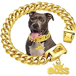 Gold Dog Collar Chain with Pendant Tag,Stainless