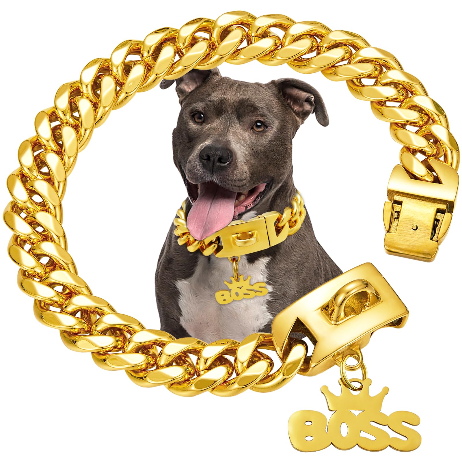 Gold Dog Collar Chain with Pendant Tag,Stainless