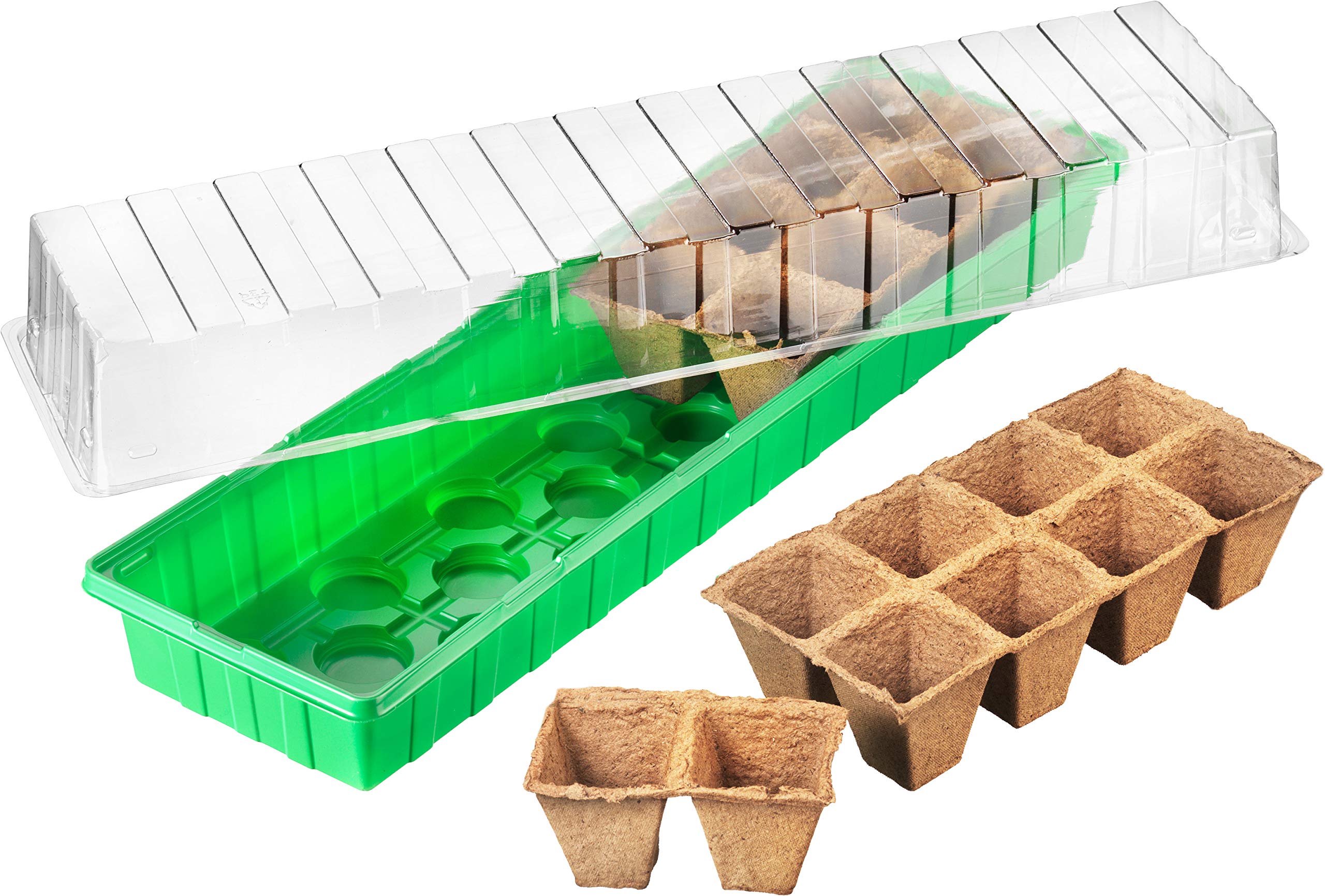 CONNEX FLOR79010 54 x 15 x 12 cm Room Greenhouse - Multi-colour