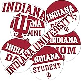 Desert Cactus Indiana University Hoosiers Bloomington Sticker Vinyl Decals Laptop Water Bottle Car T2 (Type 2 Round Family)